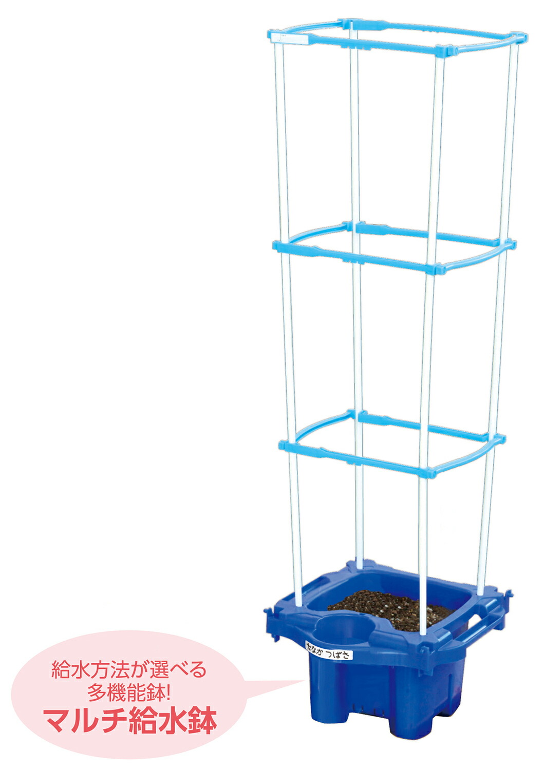 楽天市場】【3573】ﾏﾙﾁﾗｸﾗｸあさがお虫めがね付Eｾｯﾄ アーテック