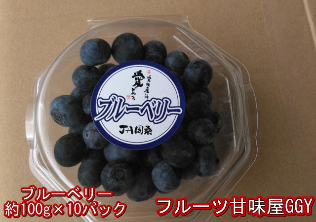 楽天市場 ブルーベリー 約100g 10パック 熊本 愛媛産 Ja周桑 クール便発送 万能フルーツ スーパーフード 80サイズ フルーツ甘味屋ggy