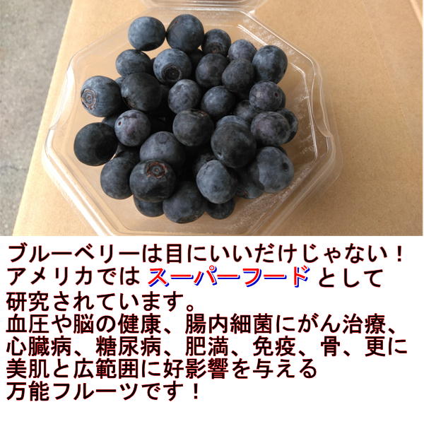 楽天市場 ブルーベリー 約100g 10パック 熊本 愛媛産 Ja周桑 クール便発送 万能フルーツ スーパーフード 80サイズ フルーツ甘味屋ggy