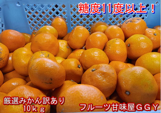 楽天市場】極早生みかん 秀品 １箱5kg サイズL・M・S 熊本産 フルーツ グルメ【送料無料】一部の地域を除く 80サイズ : フルーツ甘味屋GGY