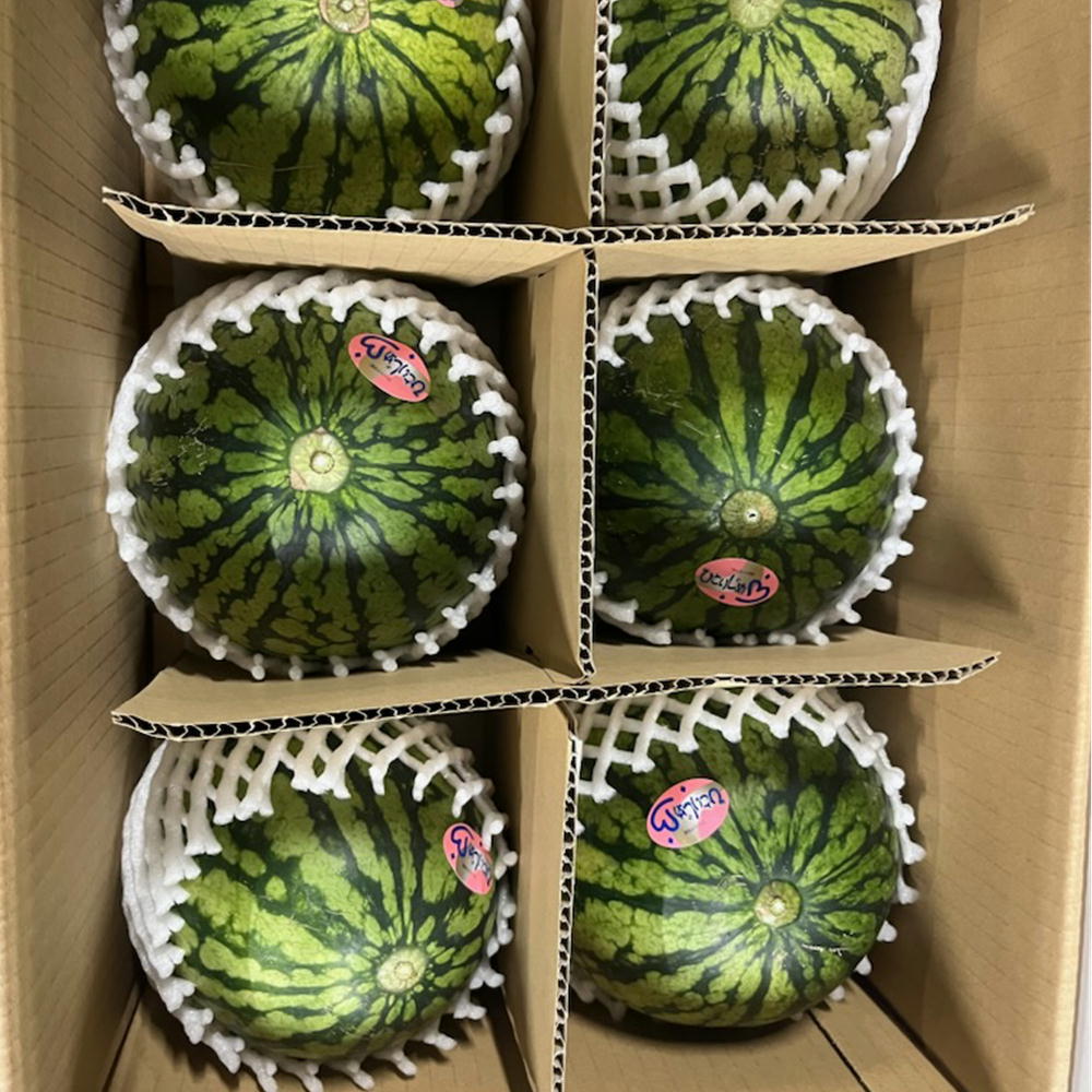 完熟ミニマンゴー　訳あり　箱込み1,1キロ 楽天市場】今だけ増量+1kg（約5kg）【約5kg】宮崎マンゴー 訳