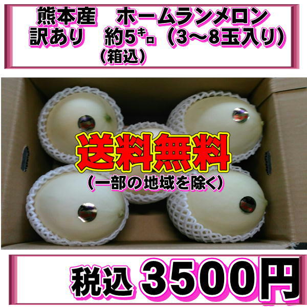 ホームランメロン　訳あり　熊本産　箱込約5キロ（３〜8玉）（一部の地域を除く）