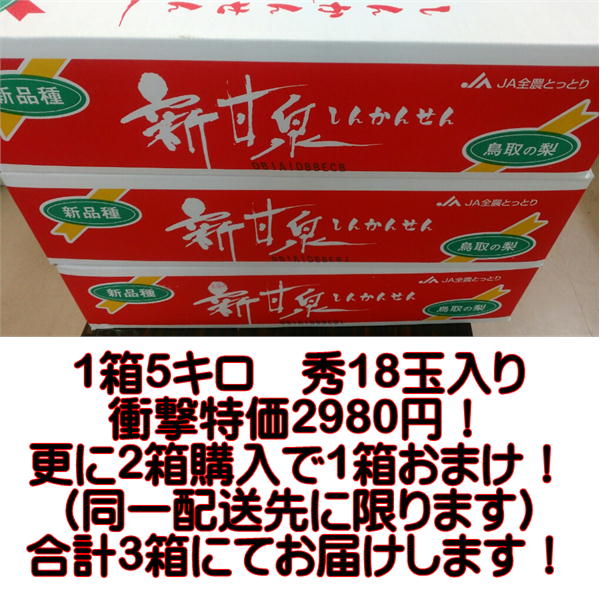 【楽天市場】新甘泉 鳥取産 1箱5kg 秀18玉入り 2箱購入で1箱おまけ！【送料無料】一部の地域を除く：フルーツ甘味屋GGY