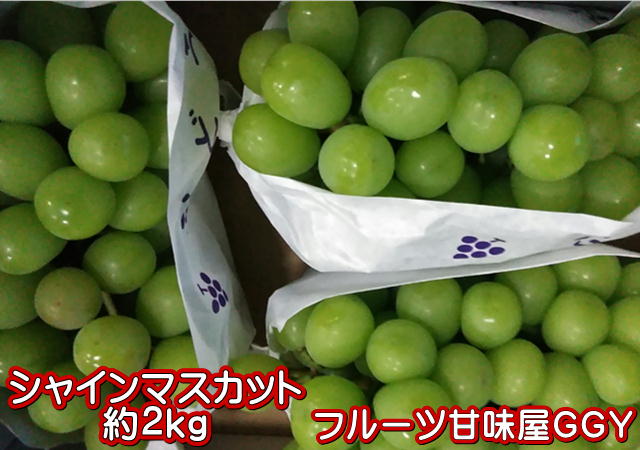 楽天市場】極早生みかん 秀品 １箱5kg サイズL・M・S 熊本産 フルーツ グルメ【送料無料】一部の地域を除く 80サイズ : フルーツ甘味屋GGY