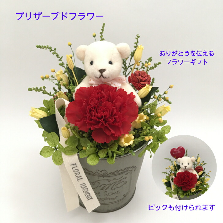 【オンリーワン商品】母の日フラワーギフト プリザーブドフラワー ドライフラワー カーネーション 赤いカーネーション 贈り物 花束 くま クマのぬいぐるみ ベア かわいい 癒し ペット 誕生日 結婚 敬老の日 転居 卒業 入学 就職 長寿お祝い