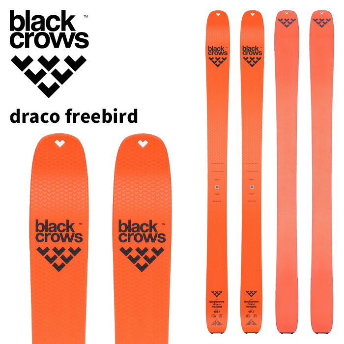 BLACK CROWS ブラッククロウズ スキーの板板 draco freebird 板単品 25-26 ひな形
