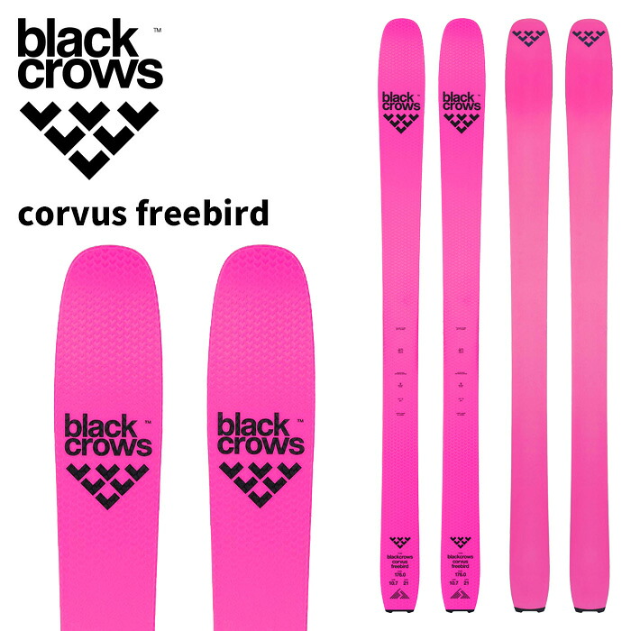 BLACK CROWS ブラッククロウズ スキーの板板 corvus freebird 板単品 25-26 ひな形