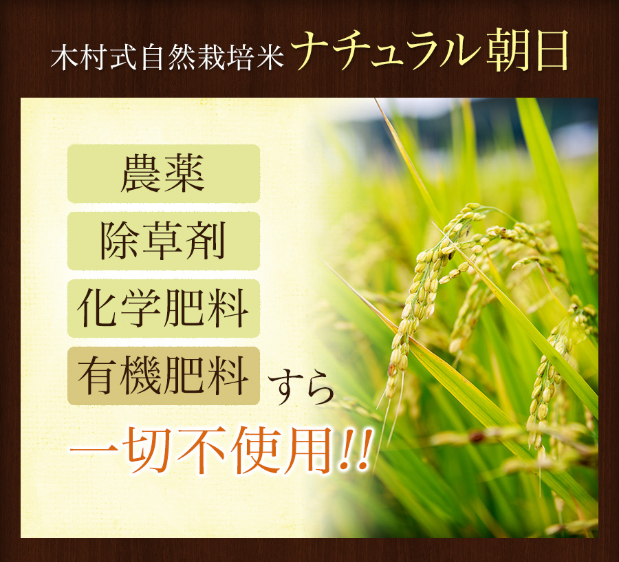 【楽天市場】無農薬 無肥料 『ナチュラル朝日 玄米 5kg 』 木村式自然栽培米 ササニシキ・コシヒカリの祖先 5キロ：WELLBEST