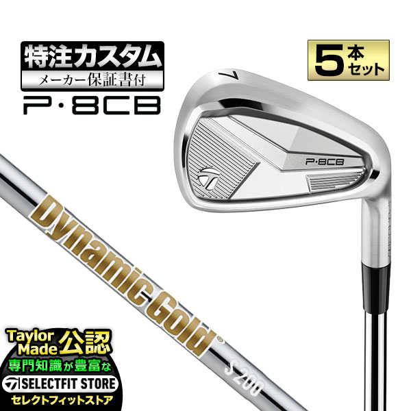 【製造会社カスタム】仕立て屋お手伝いさん 2025年ひな形 P8CB アイアン  5本書き割り (#6～PW) DynamicGold HT LABEL ダイナミックゴールド HT付け紙 スチール写真【U10】