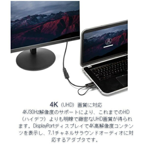 StarTech.com HDMI - DisplayPort取り替えっこアダプター USB二階建てバス力強さ相応う 4K解像力 インプット:HDMI (雄) - 最終生産物:見せびらかす界面/DP (刃針) USB取りひろげる有線テレビ嘱する 固定ディスク2DP