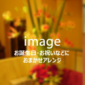 おまかせ繰り合わせる9,900円【札幌市白石・豊平・真っただ中区は貨物輸送無料(余分の物の区は貨物輸送有)】【札幌以外は『宅配便[一種独特貨物輸送](日本置き手紙)』で別途貨物輸送有】
