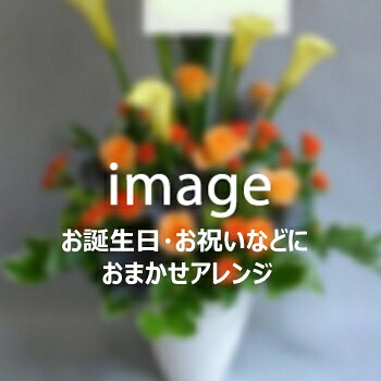 [リピート多数 本日発送 ] M3FYUC2WK0R (M3FYUC2WK0R)