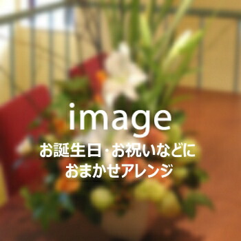 おまかせ取り合わせる8,800円【札幌市白石・豊平・真っただ中区は貨物輸送無料(余分の物の区は貨物輸送有)】【札幌以外は『宅配便[一種独特貨物輸送](日本置き手紙)』で別途貨物輸送有】