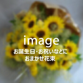 おまかせ花束 5,500円 【札幌市白石・豊平・中央区は送料無料(その他の区は送料有)】 【札幌以外は『宅配便[特定送料](日本郵便)』で別途送料有】