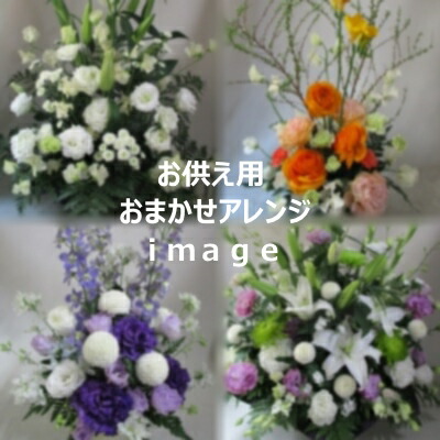 お供え取り合わせる8,800円【札幌市白石・豊平・真っただ中区は貨物輸送無料(余分の物の区は貨物輸送有)】【札幌以外は『宅配便[一種独特貨物輸送](日本置き手紙)』で別途貨物輸送有】【供花/北海道】