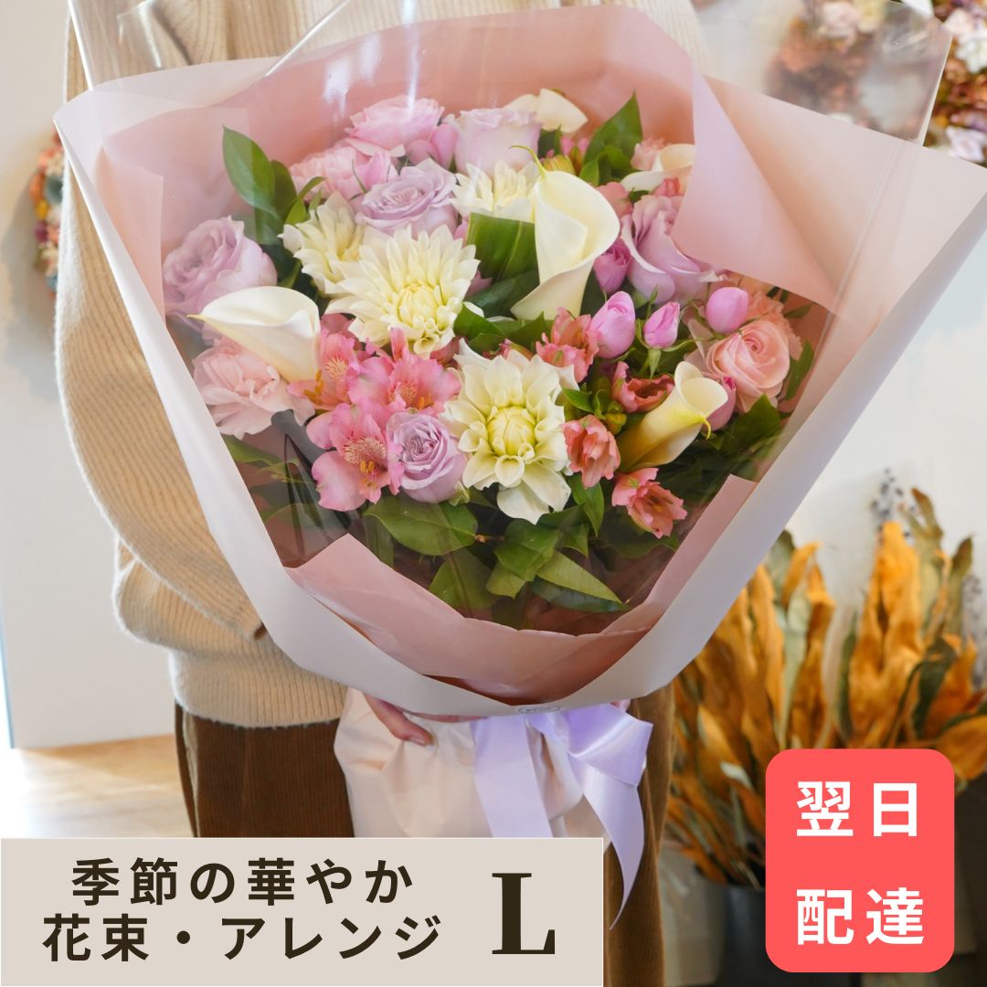 2026年6月 百貨店大売り出し!!特集