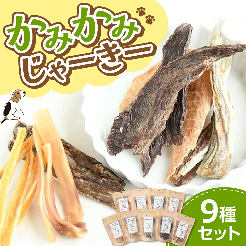 【ふるさと納税】 ペットフード ジャーキー 9個セット かみかみじゃーきー オヤツ おやつ ペット エゾ鹿 ぶたみみ ささみ こまい 鶏むね肉 牛すじスティック 鶏砂肝 鮭スティック 鮭スライス Humming Dog 北海道 札幌市|北海道札幌市