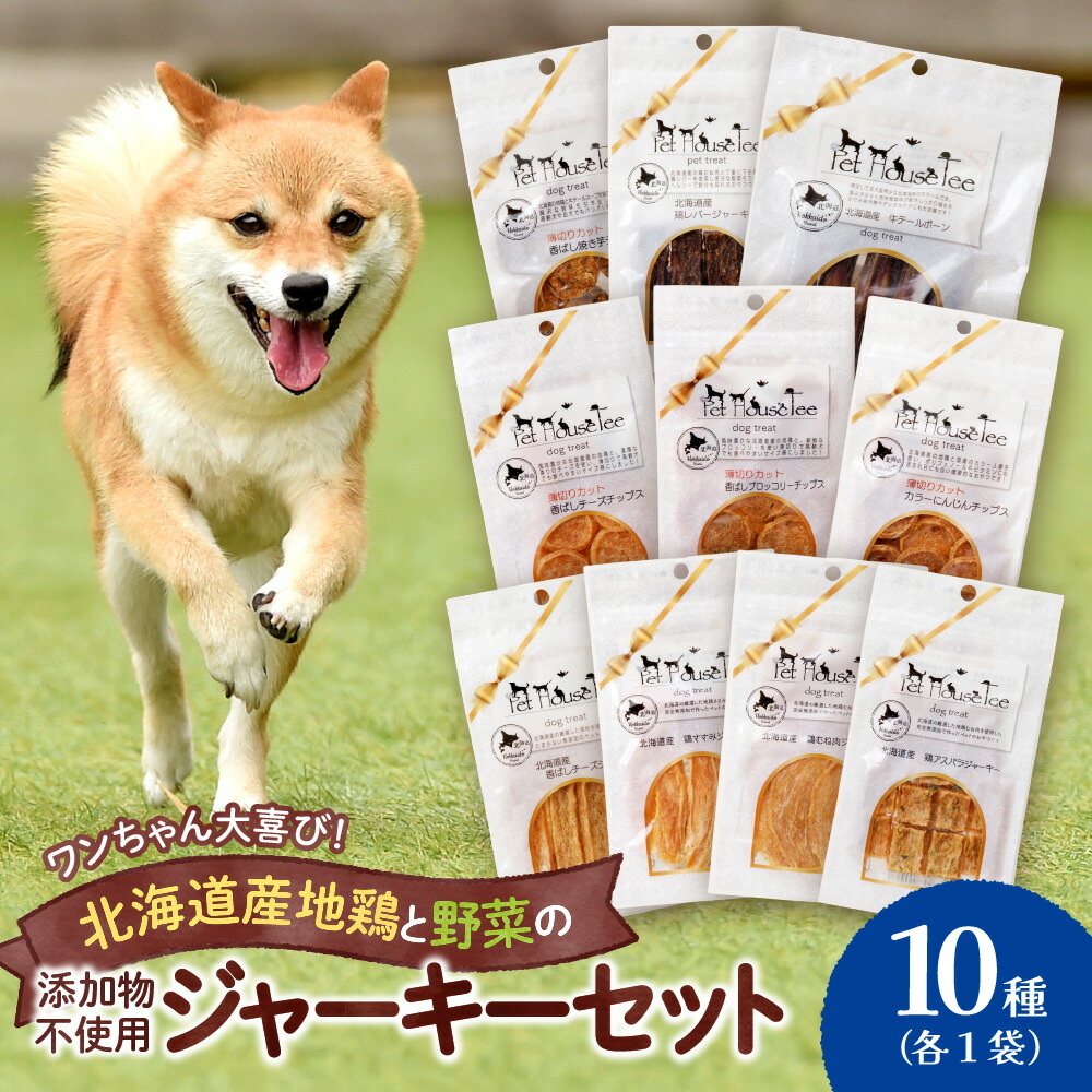 【ふるさと納税】 無添加ジャーキー セット 10種類 1袋 愛犬用 地鶏 鶏 野菜 無添加 動物 犬 ドッグ ペット ご褒美 餌 フード エサ おやつ 乾物 ごはん ご飯 間食 ペットフード ドックフード 北海道 札幌市