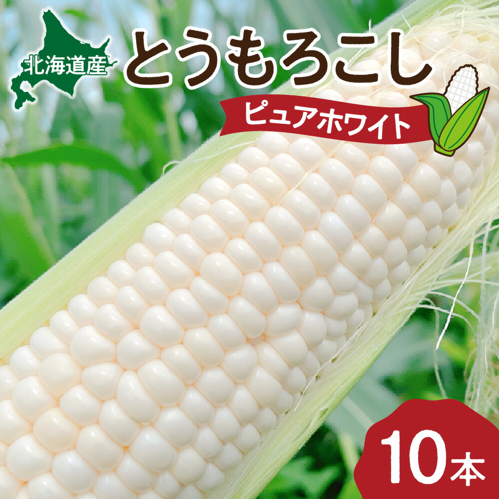 【ふるさと納税】 白とうもろこし 10本 5kg 北海道産 数量限定 朝どれ 産地直送 ピュアホワイト 甘い 糖度 約17度以上 朝もぎ 産直 とうもろこし とうきび 北海道 札幌市