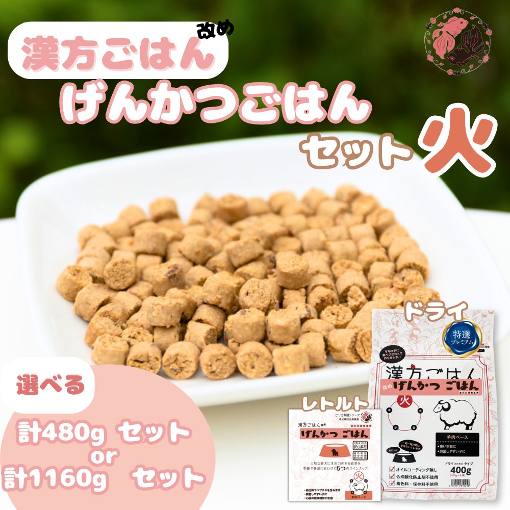 【ふるさと納税】 ペットフード 犬 げんかつごはん 【 選べる 容量 】 漢方ごはん 火ドライタイプ レトルト 計480g 計1160g セット 愛犬用 ノンオイルコーティング 鶏 食養生 薬膳 総合栄養食 安心素材 北海道食材 漢方食材 着色料 保存料 酸化防止剤不使用 北海道 札幌市 29,250円