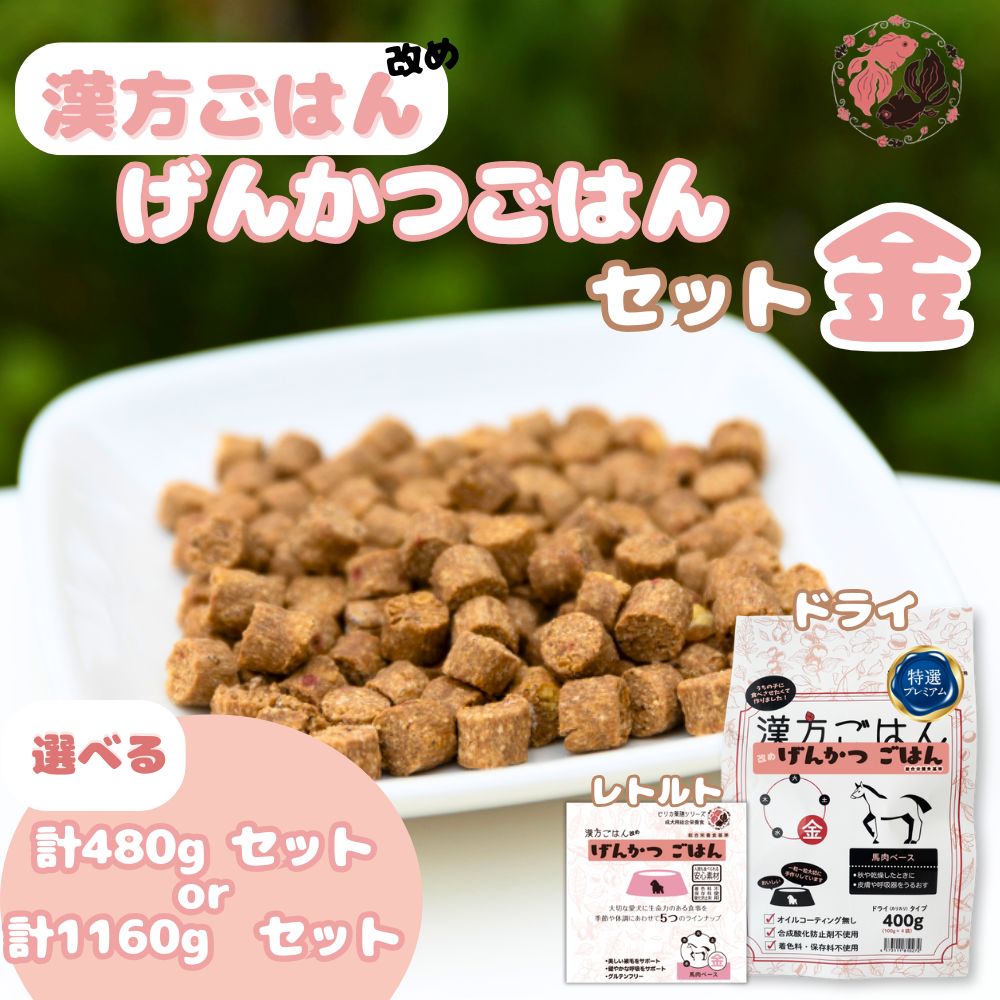 【ふるさと納税】 ペットフード 犬 げんかつごはん 【 選べる 容量 】 漢方ごはん 金 ドライタイプ レトルト 計480g 計1160g セット 愛犬用 ノンオイルコーティング 馬肉 食養生 薬膳 総合栄養食 安心素材 北海道食材 漢方食材 着色料 保存料 酸化防止剤不使用 北海道 札幌市｜北海道札幌市
