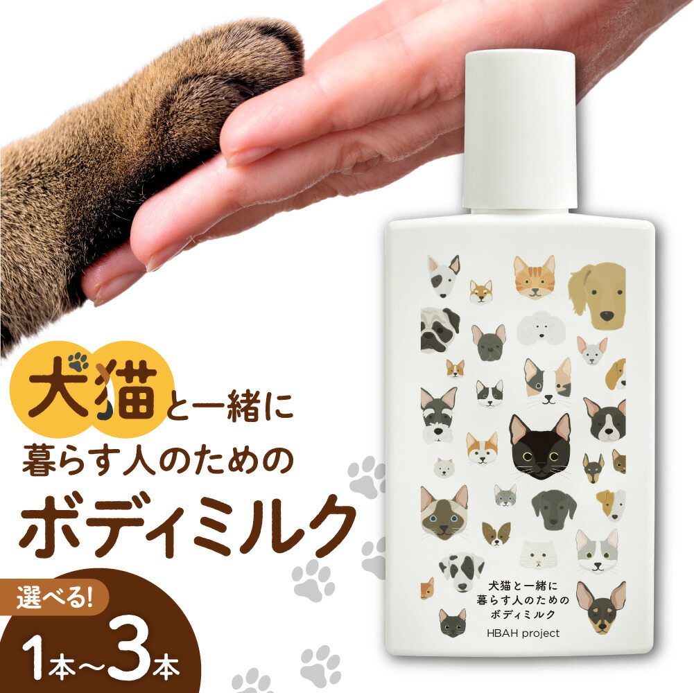 吸いものカレー特集