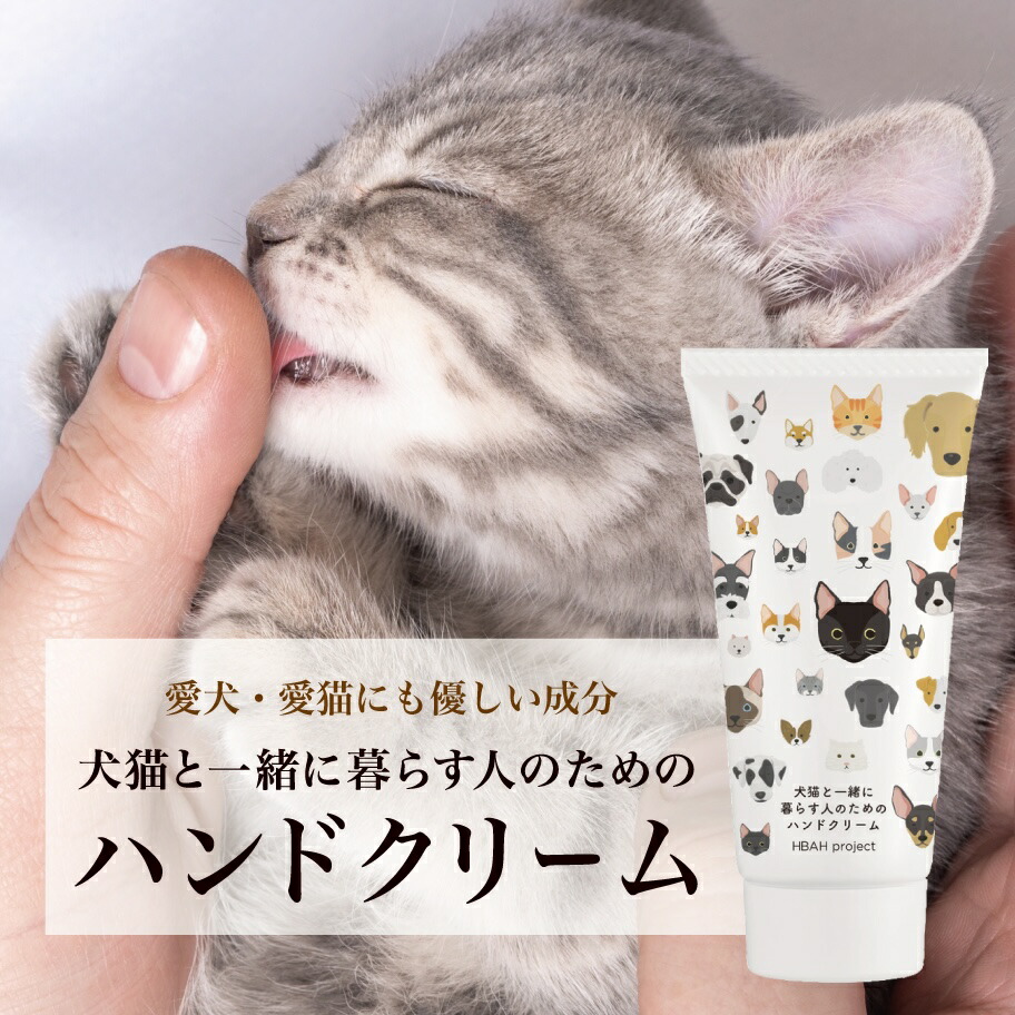 吸いものカレー特集