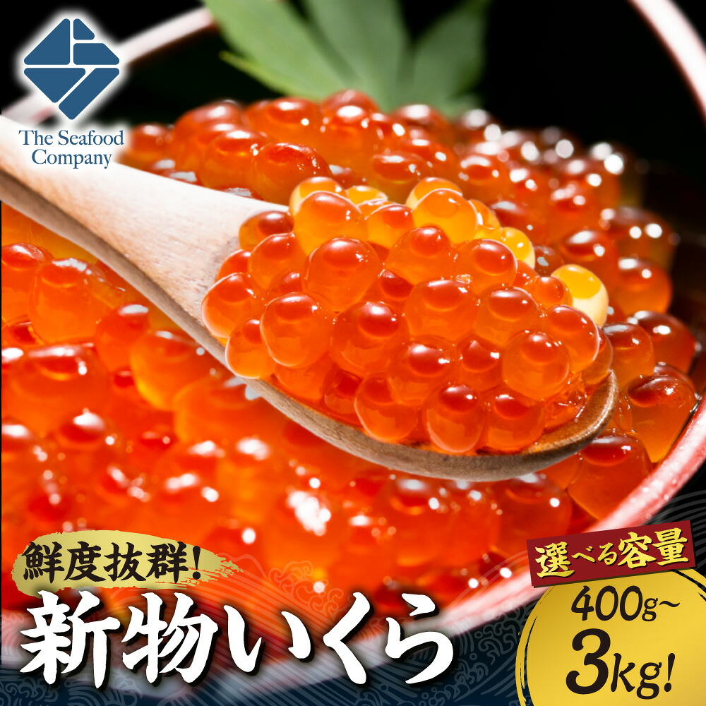【ふるさと納税】 新物 いくら 【 選べる 容量 】 400g 800g 1.2kg 1kg 2kg 3kg 味付き 新鮮 鮮度抜群 イクラ 鮭卵 魚卵 ikura 海鮮 お取り寄せ グルメ おつまみ ご飯のお供 ギフト 冷凍 小分け 北海道 札幌市|北海道札幌市