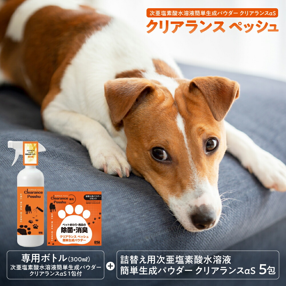 吸いものカレー特集