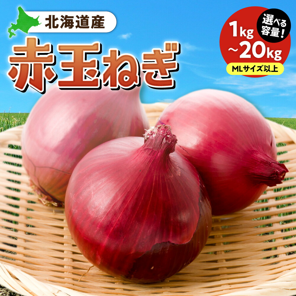 【ふるさと納税】 北海道産 赤玉ねぎ 【 選べる 容量 】 MLサイズ 1kg 2kg 5kg 10kg 20kg 野菜 玉葱 オニオン たまねぎ 国産 お取り寄せ 北海道 札幌市
