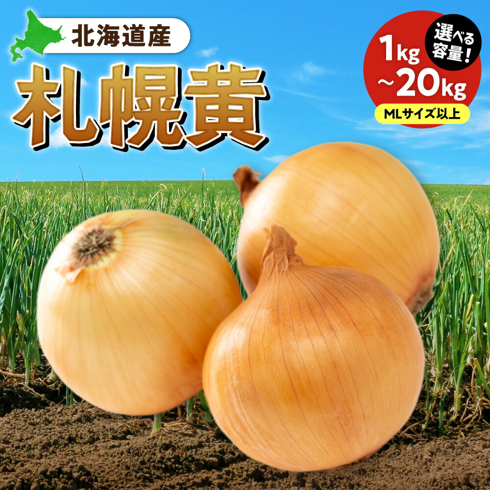 楽天市場】たまねぎ 札幌黄 MSサイズ 5kg 玉ねぎ 札幌産 ブランド