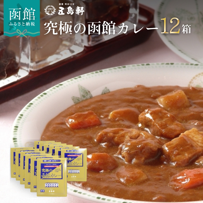 【ふるさと納税】究極の函館カレー 210g × 12箱 セット 創業明治12年 五島軒 レトルトカレー ポークカレー 中辛 北海道SPFポーク 使用 コク 老舗レストラン レトルト カレー ご当地カレー おかず 常温 函館市 北海道 お取り寄せ お取り寄せグルメ 送料無料