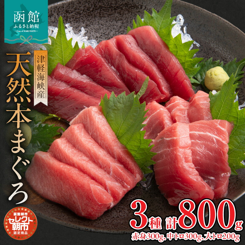 【ふるさと納税】天然 本まぐろ 赤身 300g 中トロ 300g 大トロ 200g 津軽海峡産 セレクト 朝市 瞬間液体冷凍機 急速冷凍 品質 冷凍 解凍するだけ 簡単 お好み 部位 とれたて 風味 食感 函館朝市 のし対応可 お取り寄せ お取り寄せグルメ 北海道 函館市 送料無料