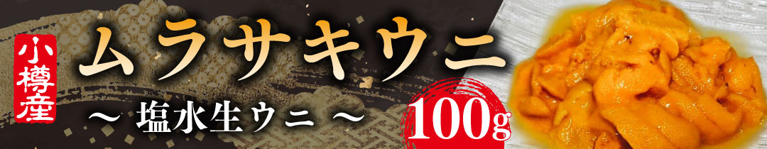 楽天市場】【ふるさと納税】新保製作所 ソロ 薪ストーブ「INSERTOSS