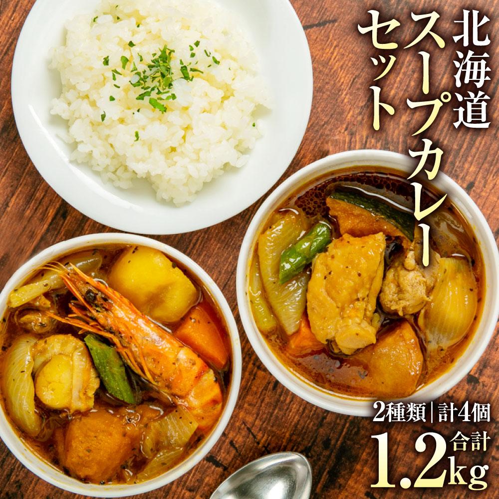 北海道 スープカレー セット 2種類 〔Ａ26〕 300g×4個