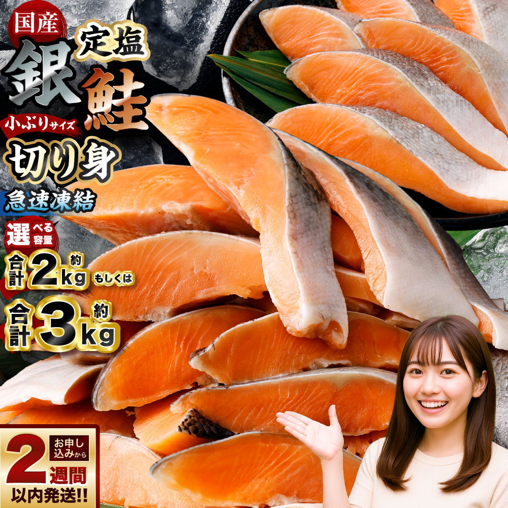 【ふるさと納税】《選べる容量》国産 定塩銀鮭 切り身 合計約2kg （約1kg&times;2パック） ／ 合計約3kg （約1kg&times;3パック）銀鮭 塩鮭 鮭 さけ しゃけ サーモン 魚 さかな 海鮮 魚介 海の幸 小分け 真空 ストック 備蓄 食品 小樽市 北海道 冷凍 送料無料｜北海道小樽市