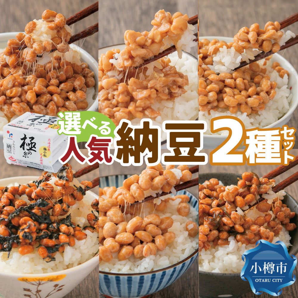 楽天市場】【ふるさと納税】せがわさん納豆 10パック (100g × 10パック