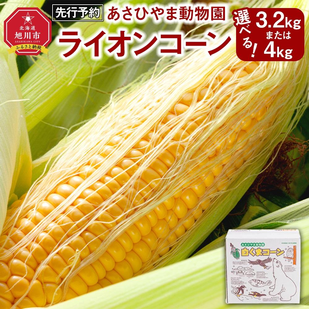 【ふるさと納税】【先行予約　容量選択可能】あさひやま動物園ライオンコーン約3.2kg～4kg(ゴールドラッシュ8～10本)2025年8月下旬～発送開始予定_00307 | とうもろこし ゴールドラッシュ ライオンコーン  旭川市