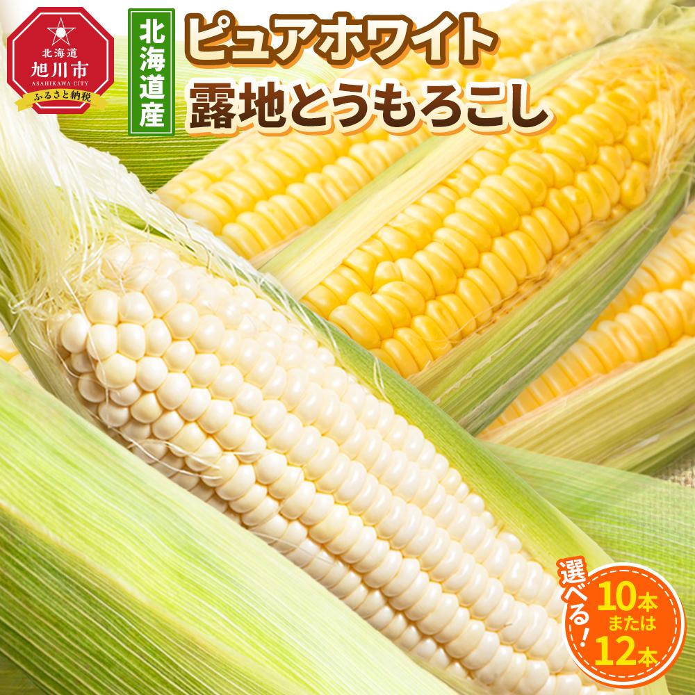 【ふるさと納税】【先行予約】【種類選択可能】北海道産ピュアホワイト・露地とうもろこし　計10本～12本 2025年8月下旬から発送開始予定  | とうもろこし ピュアホワイト 高評価 ランキング 露地栽培 コーン 甘い 糖度 野菜 夏野菜 旬 お取り寄せ 旭川市 北海道