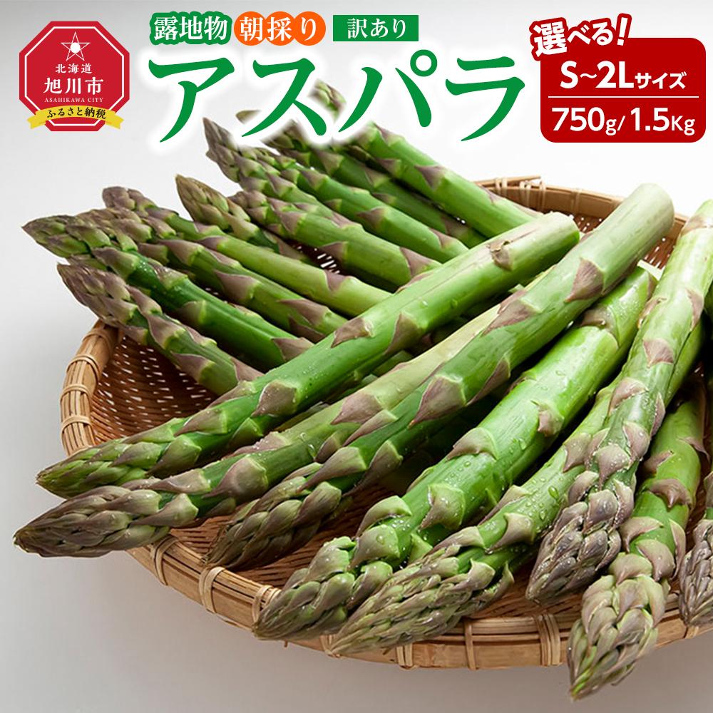 【ふるさと納税】【訳あり】露地物朝採りアスパラ 鮮度保持フィルム入り(2025年5月中旬発送予定) 【 アスパラ アスパラガス 朝採り とれたて 野菜 旬 小分け 保存 産直 産地直送 お取り寄せ 旭川市 北海道 】 | アスパラ