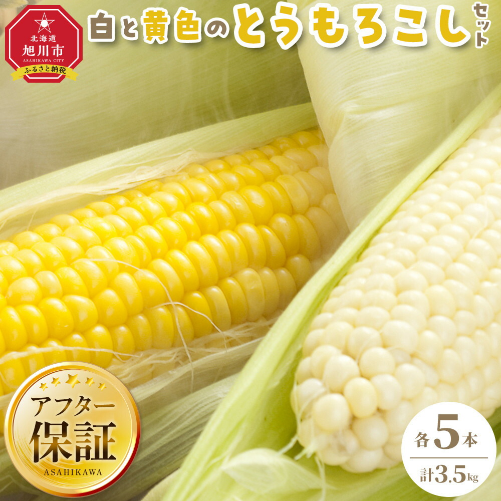 【ふるさと納税】【先行予約】【旭川近郊産】白と黄色のとうもろこしセット　各5本（計3.5kg）2026年8月上旬から発送開始予定 _00094 | 白いとうもろこし セット ホワイトショコラ ゴールドラッシ 旭川市ふるさと納税 北海道ふるさと納税
