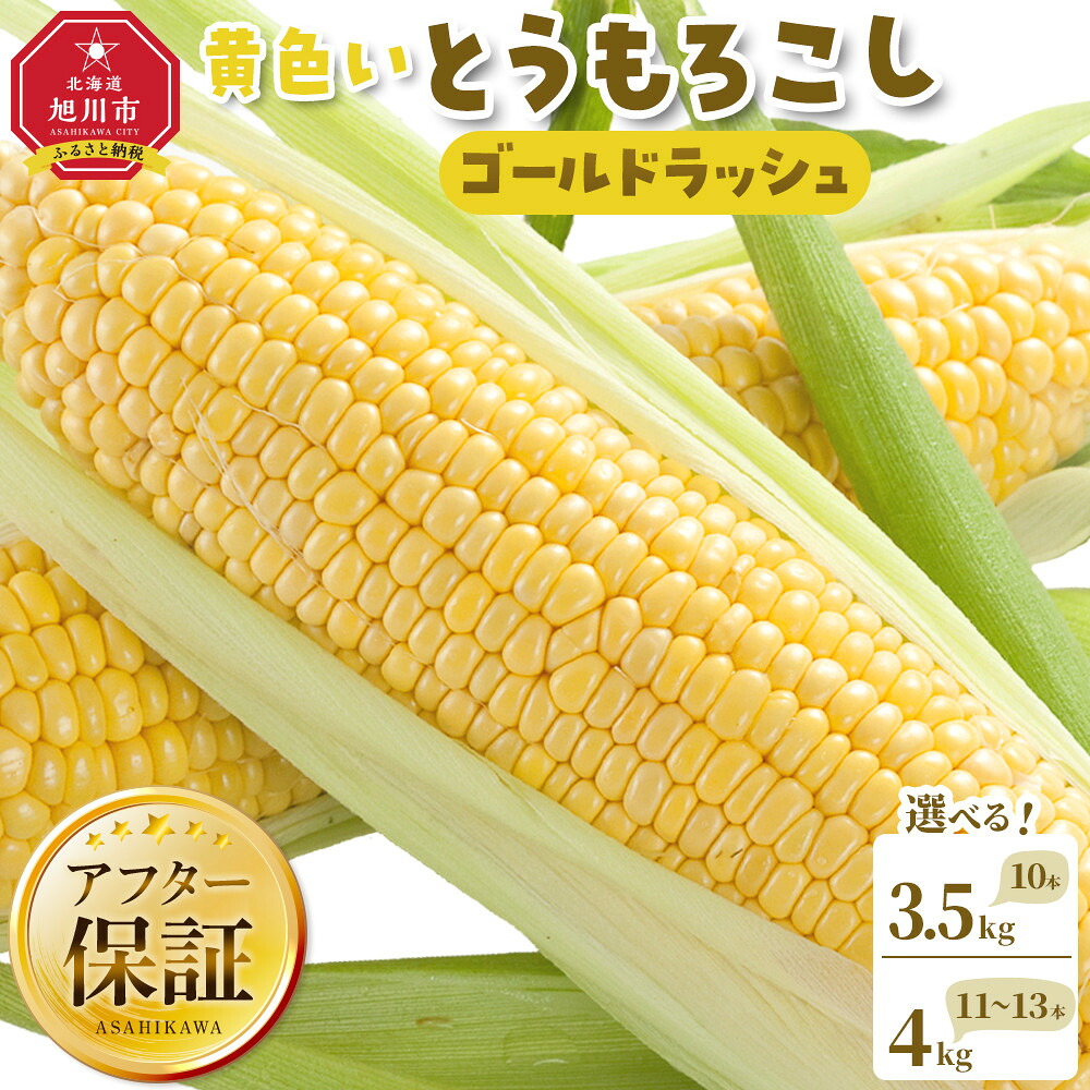 【ふるさと納税】【先行予約】【旭川近郊産】黄色いとうもろこし（ゴールドラッシュ）3.5kg（10本）2026年8月上旬から発送開始予定 _00092 | とうもろこし コーン ゴールドラッシュ 野菜 甘い 糖度 北海道ふるさと納税 旭川市 北海道 送料無料