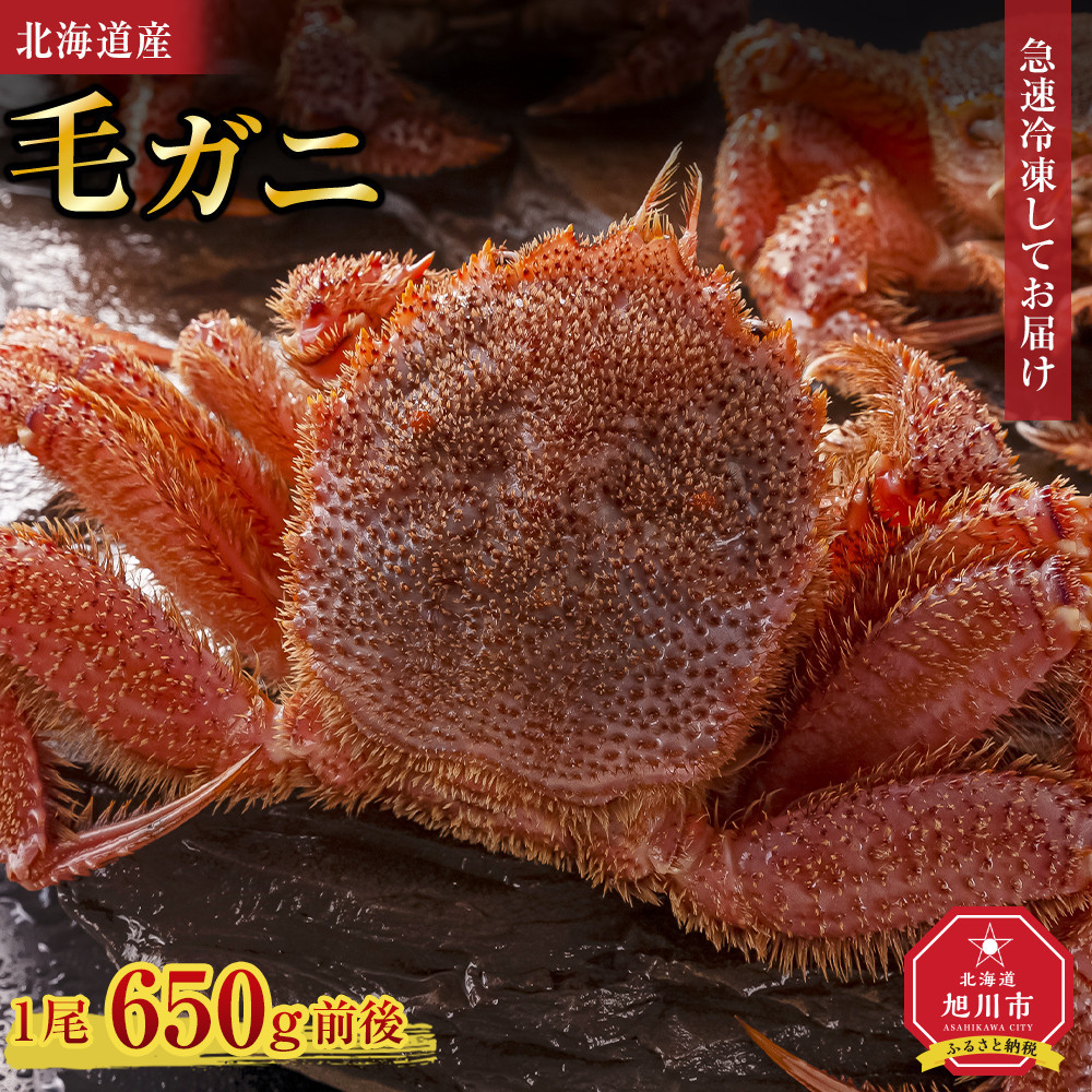 【ふるさと納税】【着日指定可】北海道産毛ガニ1尾 650g前後 【カニ 蟹 毛ガニ 毛蟹 毛がに 毛カニ 冷凍 お取り寄せ 旭川市 北海道ふるさと納税 北海道】_05581 | 旭川市 毛ガニ 特産品 新鮮 食品 かに料理 お取り寄せ 通販 グルメ ふるさと納税