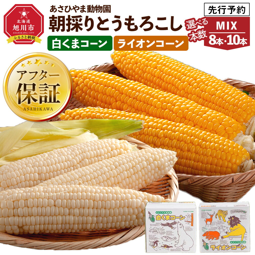 【ふるさと納税】【26年発送先行予約/容量選択可能】朝採りとうもろこしMIX8～10本 あさひやま動物園 白くまコーンとライオンコーンのミックス（2026年8月中旬から発送開始予定） | とうもろこし コーン スイートコーン ゴールドラッシュ 食べ比べ 冷蔵 旭川市画像