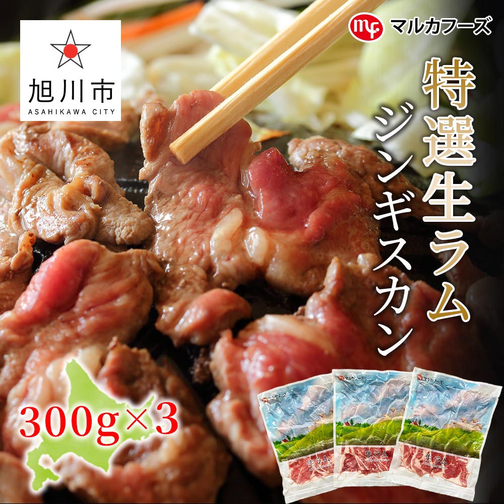 楽天市場 ふるさと納税 特選生ラムジンギスカン タレ付き 肉 ラム ジンギスカン 生ラム 旭川市ふるさと納税 北海道ふるさと納税 北海道旭川市 ふるさと納税