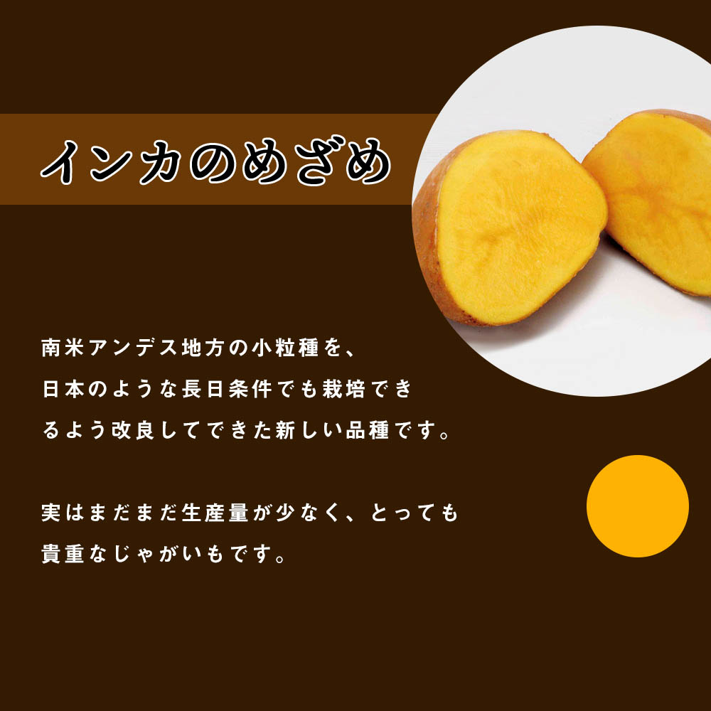 市場 ふるさと納税 4kg 先行予約 9月下旬より発送開始予定 北海道産じゃがいも インカのめざめ