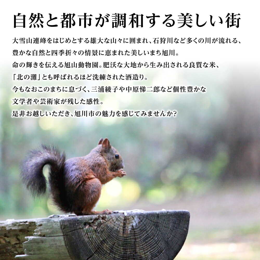 【ふるさと納税】北海道旭川市の対象施設で使える楽天トラベルクーポン 寄附額10,000円旅行 旅行券 旅行クーポン