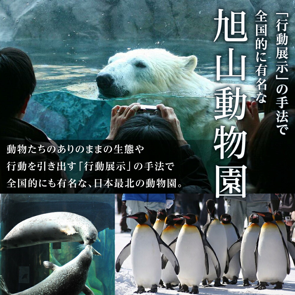 【ふるさと納税】北海道旭川市の対象施設で使える楽天トラベルクーポン 寄附額10,000円旅行 旅行券 旅行クーポン