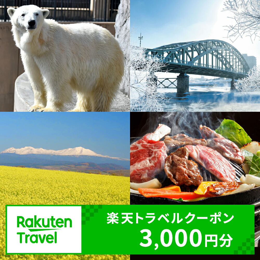 【ふるさと納税】北海道旭川市の対象施設で使える楽天トラベルクーポン 寄附額10,000円旅行 旅行券 旅行クーポン