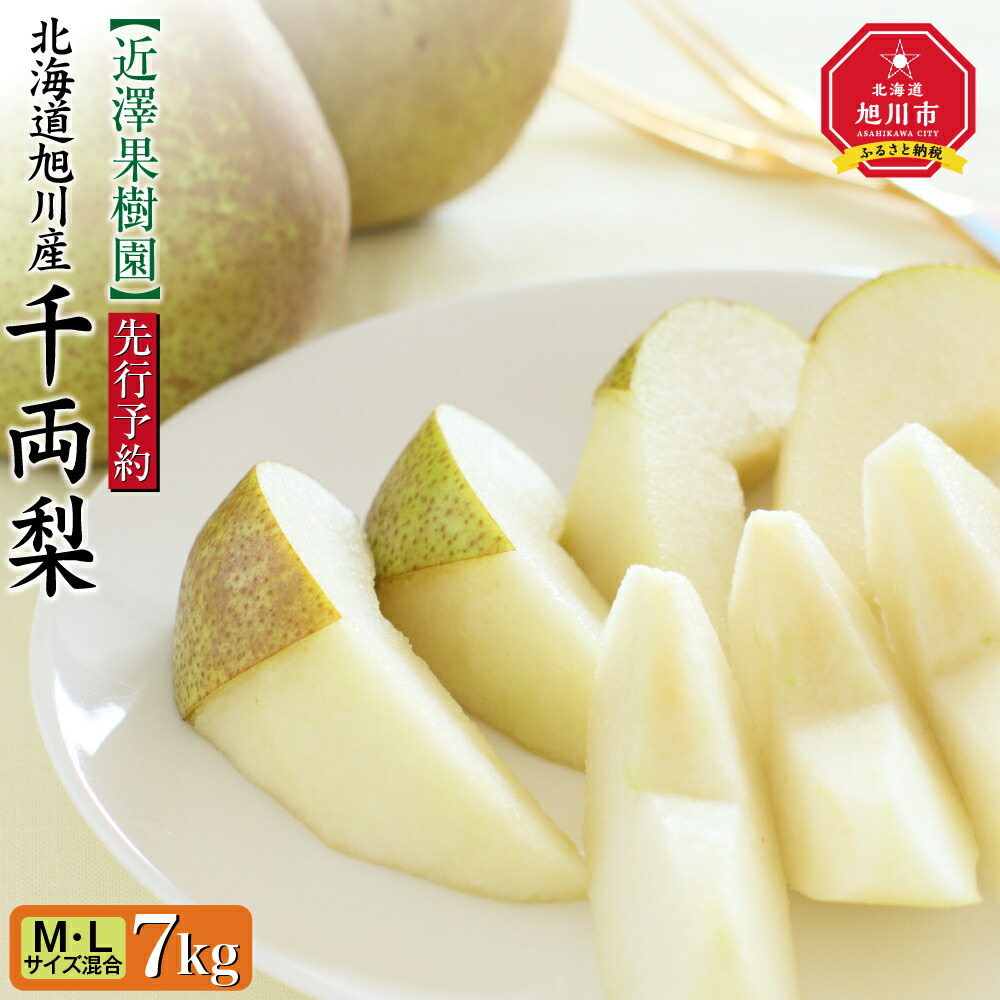 【ふるさと納税】【先行予約】近澤果樹園 千両梨　7kg（MLサイズ混合）（2025年10月中旬より発送予定）_01176 | なし ナシ 梨 果物 フルーツ 秋 旬 旭川市ふるさと納税 北海道ふるさと納税